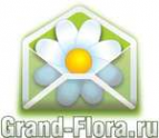 Логотип компании Доставка цветов Гранд Флора (ф-л г.Бавлы)